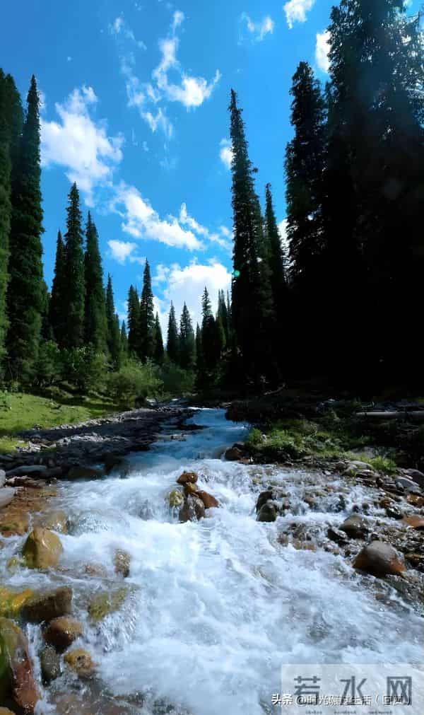 心有清静,万物生长:与生活温柔周旋的智慧