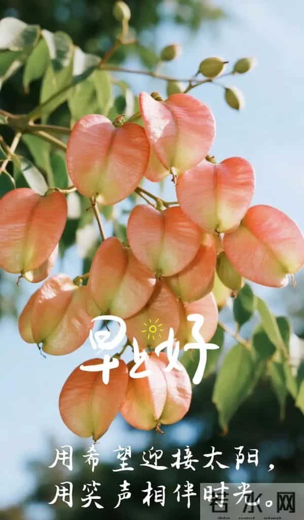 2025年11月28日,星期五,农历十月九,早安吉祥祝福语!