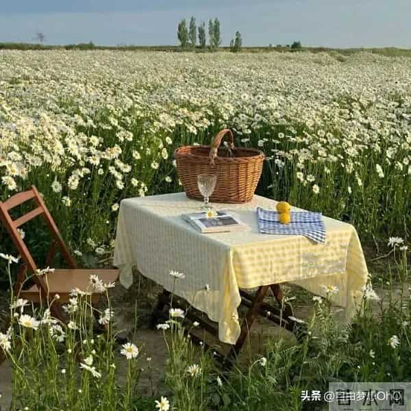 大叔最妒嫉的星座