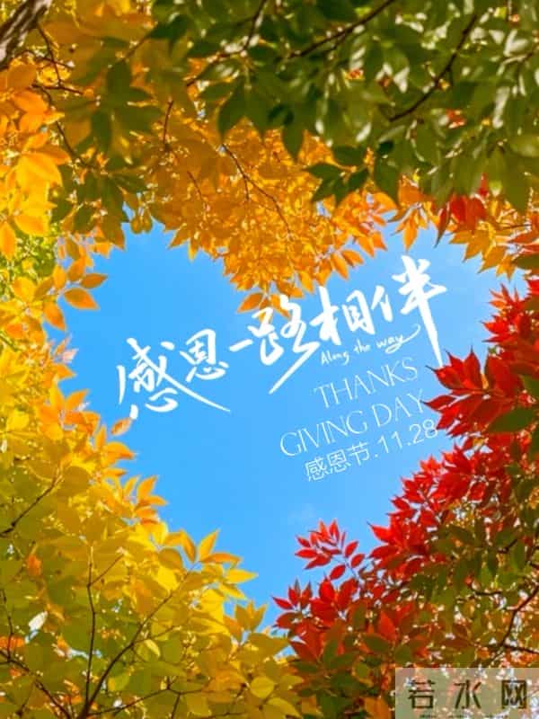 30条感恩节走心文案,心怀感恩,所遇皆温柔!