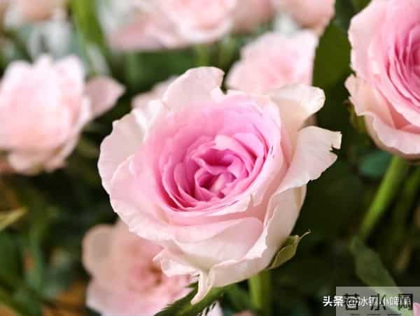 两个有家庭的人越界,真正高情商的女人会这样做,很聪明