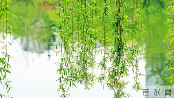 活到四十才懂，别人的嘴是砒霜还是空气全看你心态