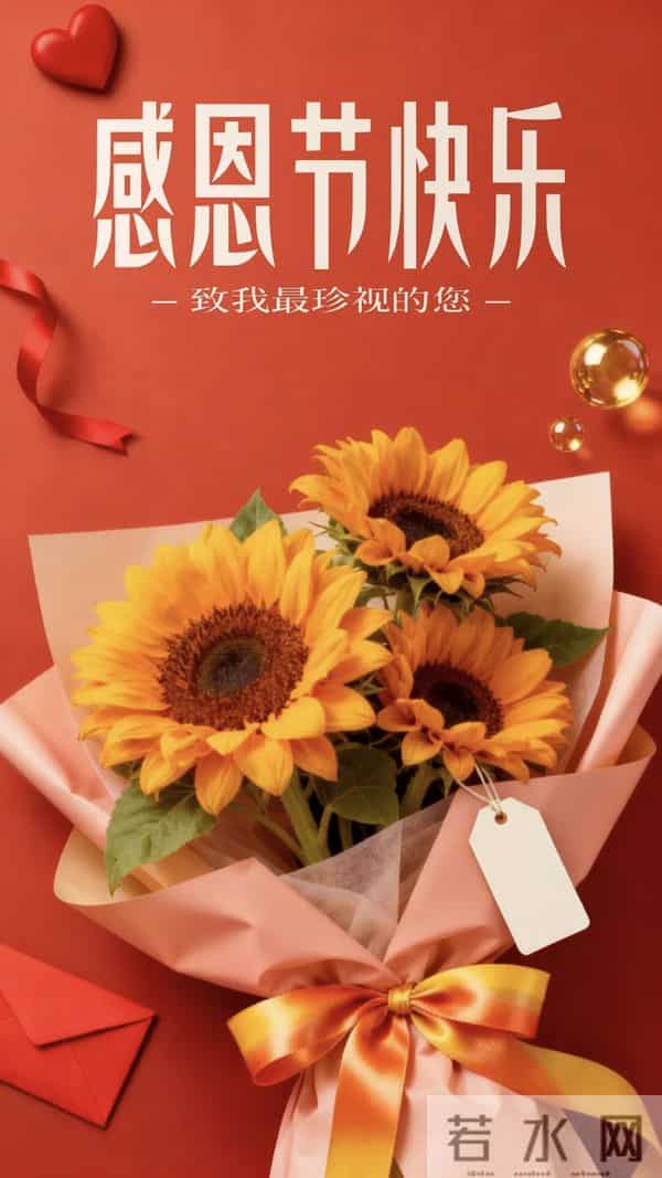 感恩节到了，感谢一路陪伴我的人，感恩有您，风雨同行