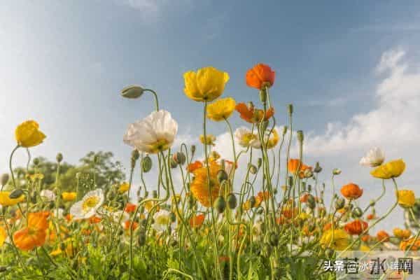 征服一个男人,三方面干净一点,更让他痴迷