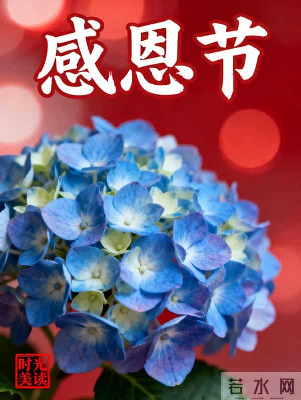 感恩节到了，感谢一路陪伴我的人，感恩有您，风雨同行