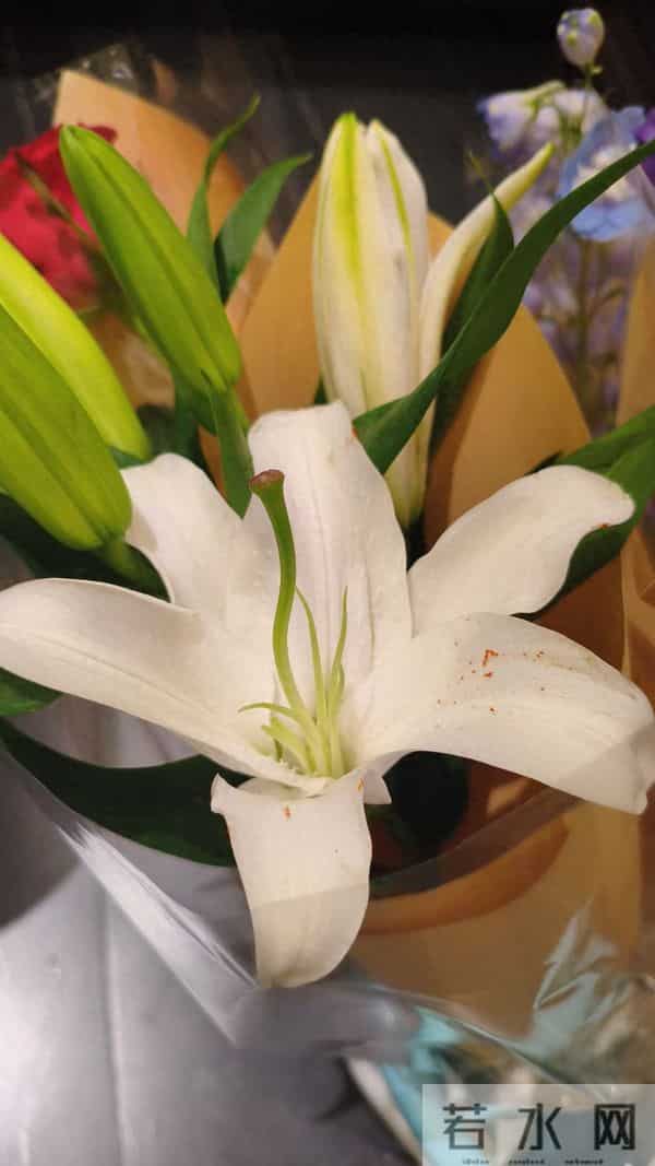 助力你保持高能量的23个好习惯