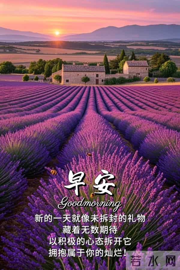 知恩于心,感念于行,常怀感恩,以心汇暖,让感恩铺满初冬的晨光