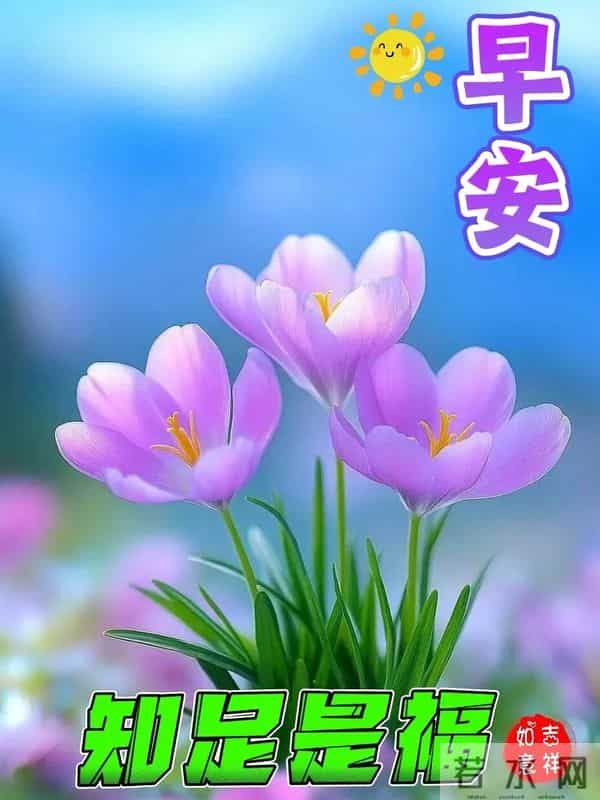 2025年11月27日早上好 早安精美图片 温馨祝福 周四愉快 今日好心情