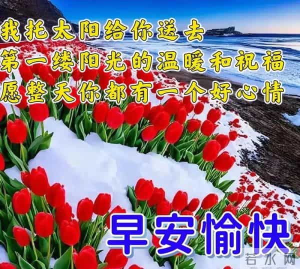 11月27日-漂亮感恩节早安祝福图片，早安祝福语精选