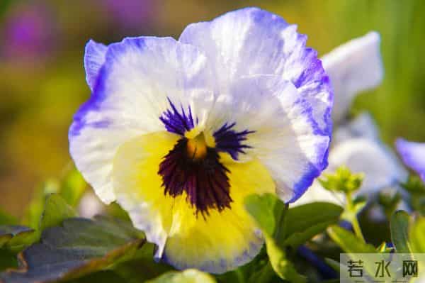 异性相处时，女人经常说这三句话，言外之意：我喜欢你