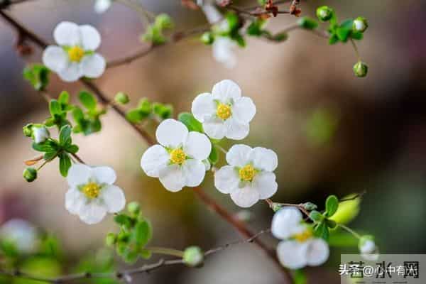 两性关系：60多岁阿姨直言：女人找老伴，最想要的是这点