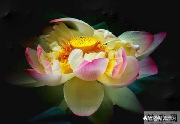 天意安排,好运降临,快来接吧!