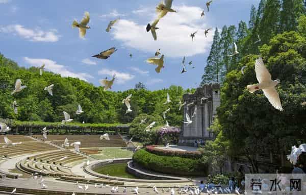 人过六十五岁后一定记住：福有三不贪，寿有三不过，财有三不留