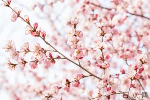 男女关系铁律:“对方不爱你的原因,只有这一个”