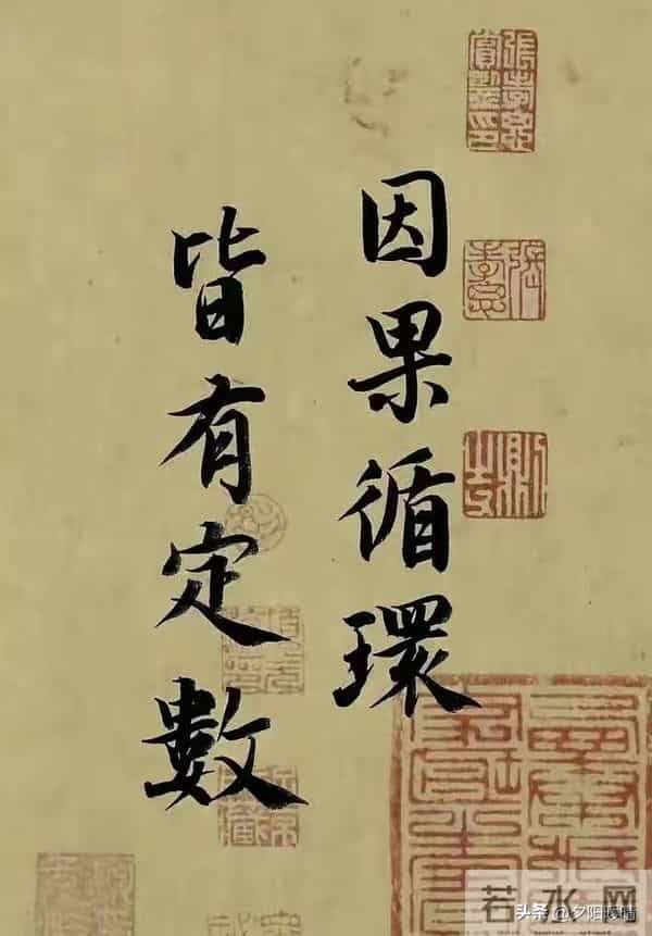 老了才明白：你不要可怜任何人，因为你可怜谁，就扛起谁的业力