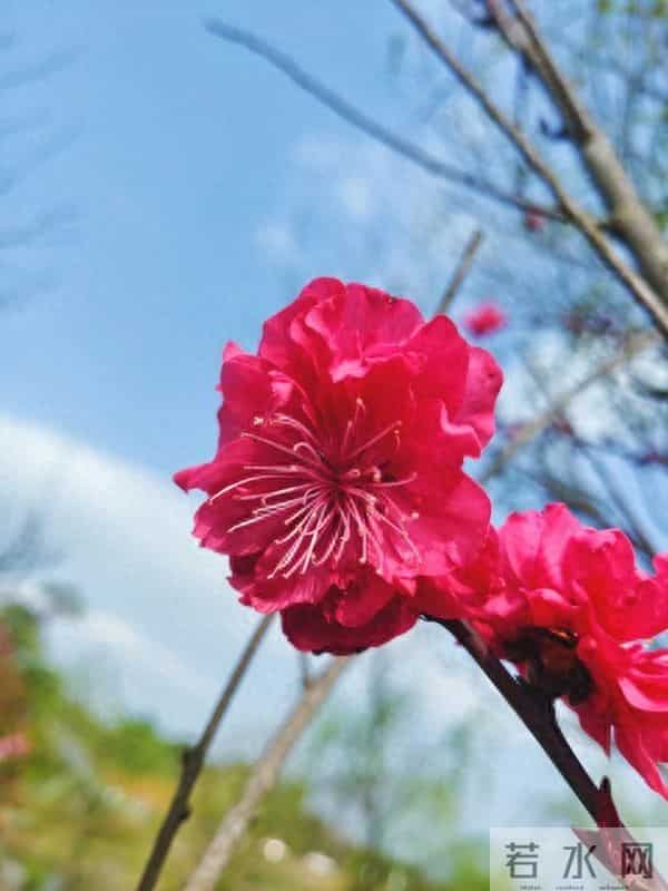 让你享用一辈子的人生金句:句句清醒,句句治愈,句句入心