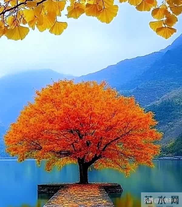 情感：人到70岁80岁，如果还想活20一30年，必须记住这5句话