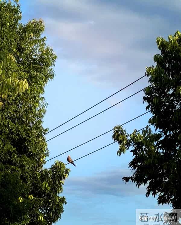 老了才悟透：人生没有什么放不下的，一切都是最好的安排