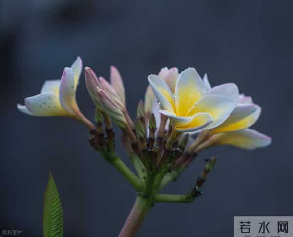 伤着伤着就醒悟了：男人心里没你， 才会对你做这些事