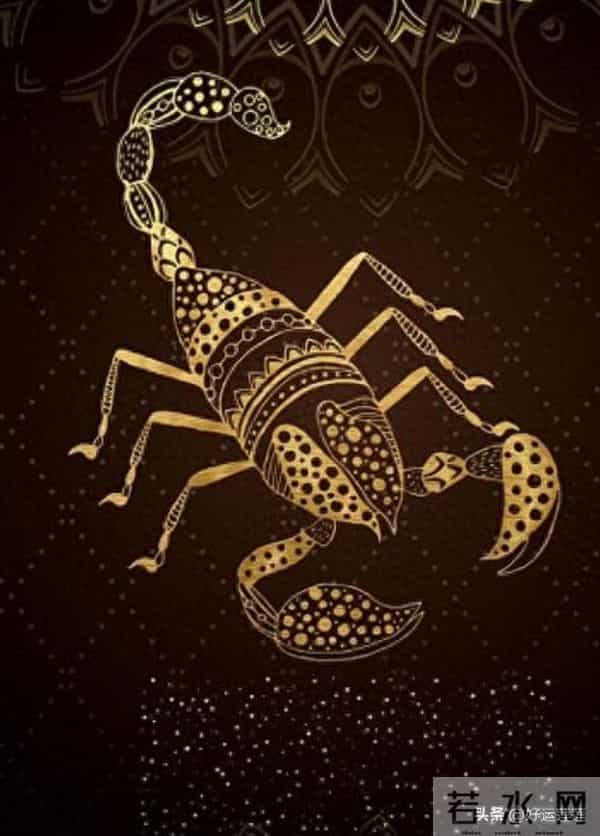 天蝎座12月，你的苦日子到头了，你的的高光时刻来了！