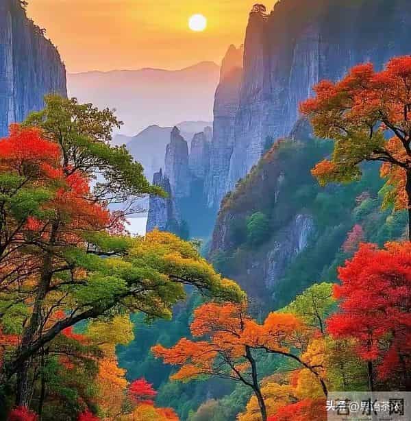 情感：人到70岁80岁，如果还想活20一30年，必须记住这5句话