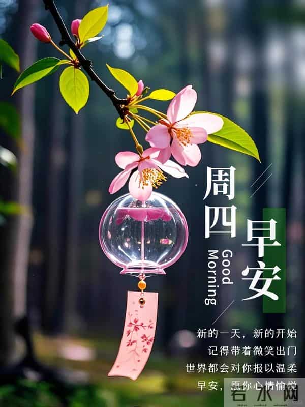 11月27日周四早安丨愿你今日眉间带笑，脚下生风，梦皆成真