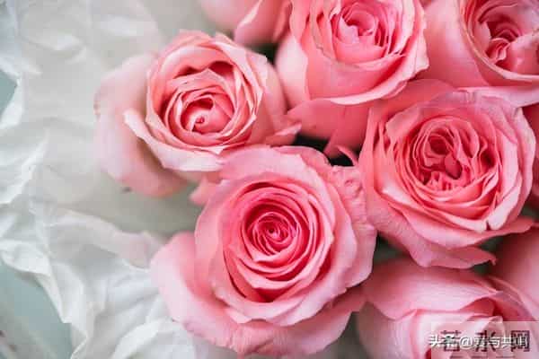 老年搭伙过日子,千万别找这三种女人,最后一种让你最可怕