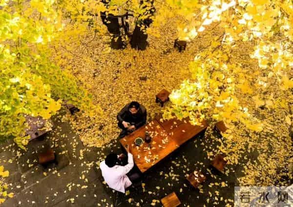 退休后,只想找个院子,不争、不赶、不卷