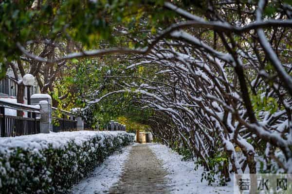 人到中年才醒悟:人生最“无用”的东西,就是这两个字