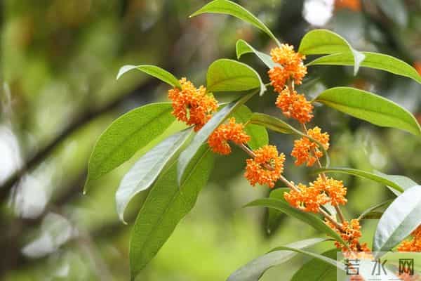 两性关系：男人过六十，永远不要在妻子面前，做这4件事