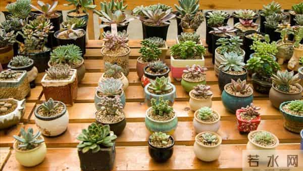 55岁忽然想明白:有3500退休金和30万存款,真没必要还拼命存钱了