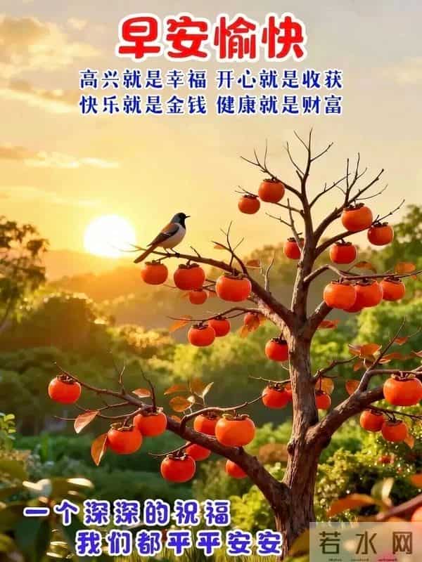 2025.11.27周四早安丨愿你今日心藏繁星梦有远方，与幸运撞个满怀