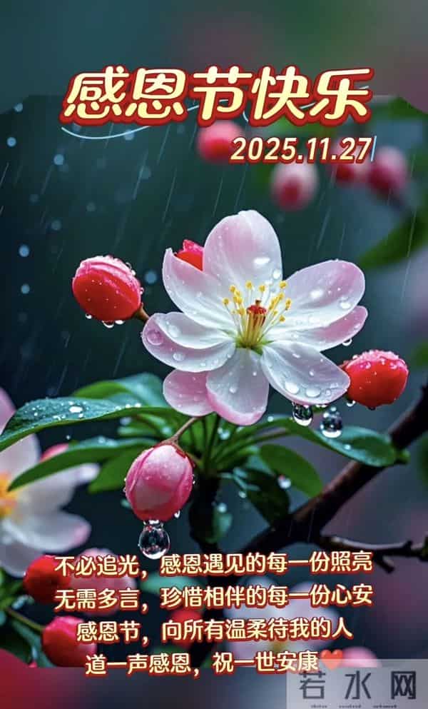 初冬第19天，今日感恩节，感恩遇见，感谢有你