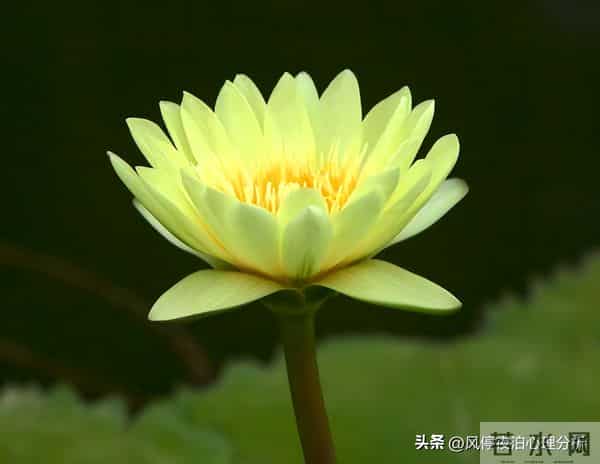 男女暧昧、越界后,值得余生相伴的人,会有4个发光条件