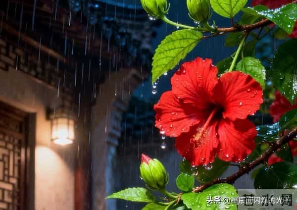 以孤勇踏上新征途，清醒道别旧时光，告别过去才能迎来全新人生