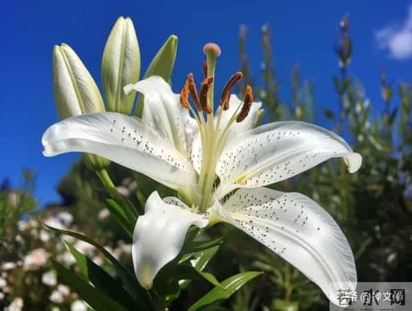 越是“理性”的女人，就越高级，她藏在这些为人处世的细节里
