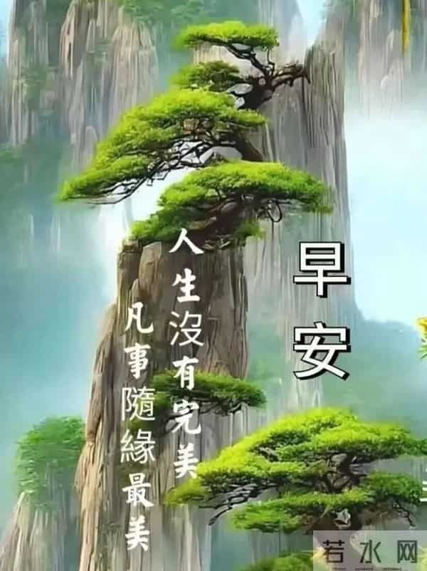 11月27日早上好 早上好清新淡雅图片 早上好图片最新今天 每日问候