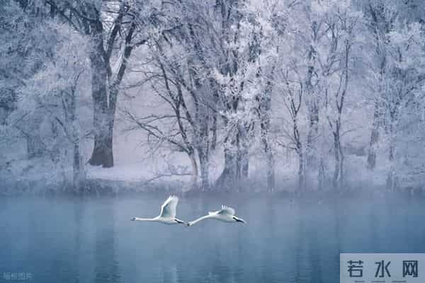 《人民日报》金句摘抄:句句精辟,句句在理,句句入心