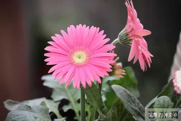 越是“理性”的女人，就越高级，她藏在这些为人处世的细节里