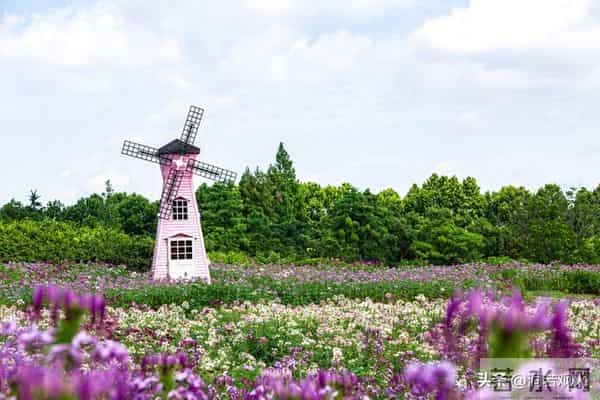 女人愿不愿意让你“泡”，看她是否拒绝这三件事，没拒绝就有戏