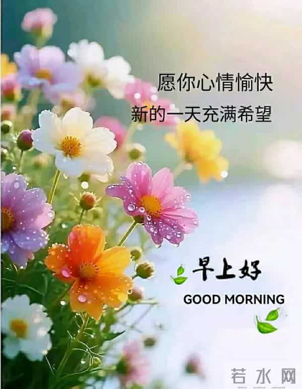 早上好早安祝福美图-岁月无恙，今冬安祥