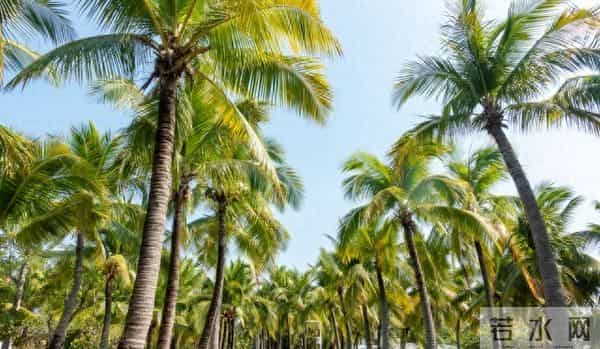 人老了才发现,想要跟子女关系融洽,聪明的老人都会这样做!