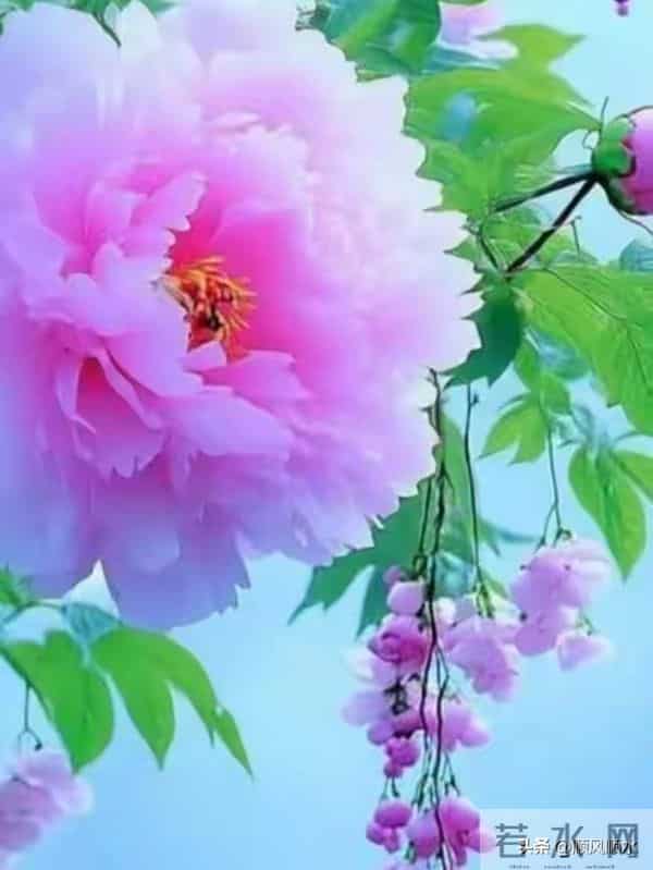 退休2年突然悟道:我不主动联系他人,他人就不会主动找我,究