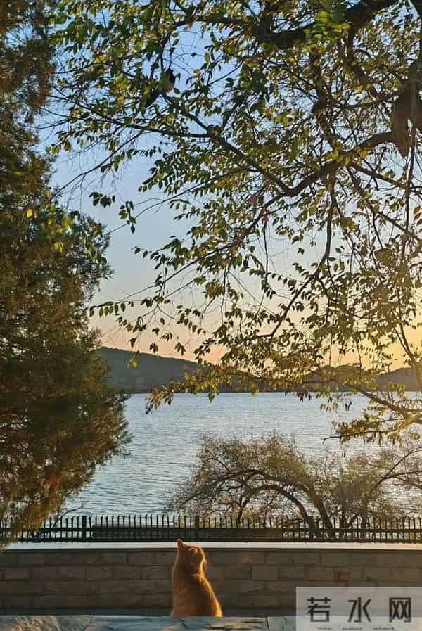 《人民日报》金句摘抄:句句精辟,句句在理,句句入心