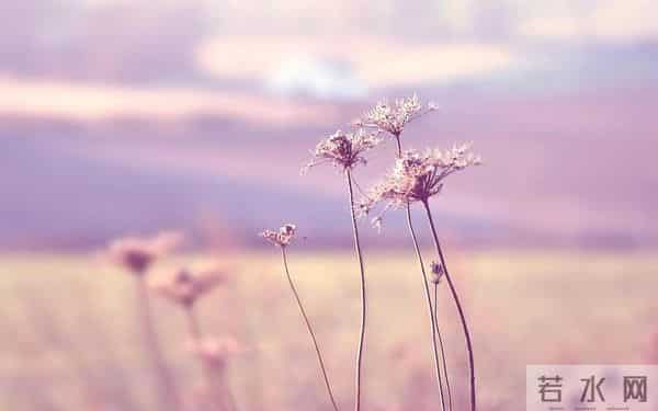 50岁以后,最好的活法不是拼命挣钱,而是守住这三样东西