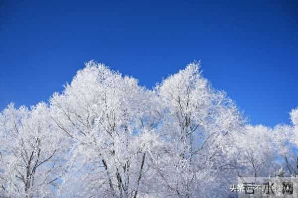 人生下半场，最好的活法：与世界温柔相处，与自己安然相伴