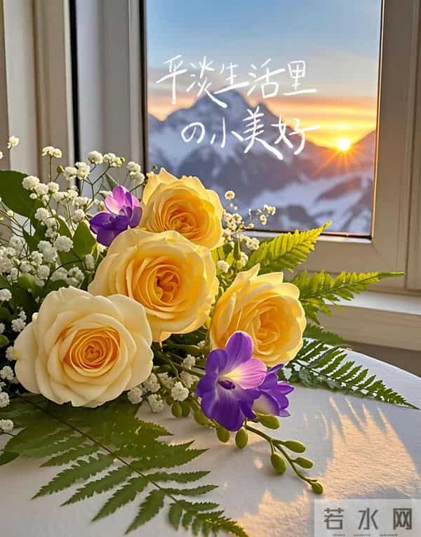 11月27日早上好 早上好清新淡雅图片 早安问候图片最新今天