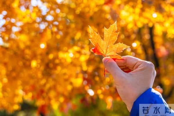 老了才明白：如果一个人独处很舒服，说明你就是个非常强大的人！