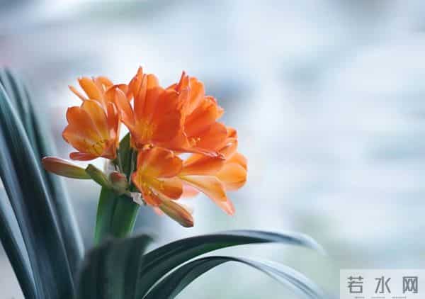 二婚市场的真实现状：人到中年离婚，男人女人谁更有市场？