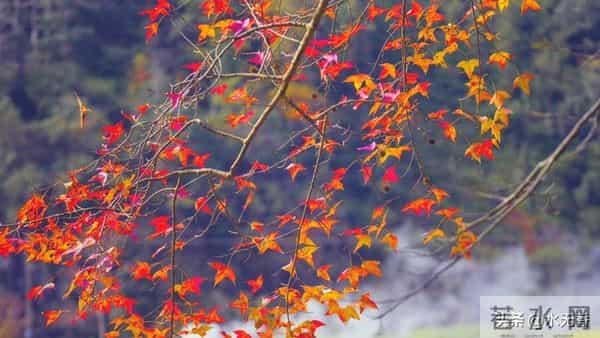 人老了,最嫌弃你的人是谁?主要有三人,看完你就明白了